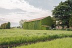 La casa verde La casa verde