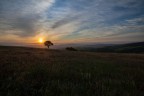 alba