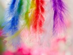 Colors