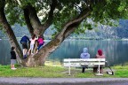 Davanti a un albero