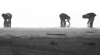 nebbia e ....raccolta molluschi