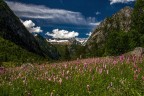 Val di Mello