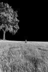 Nel mezzo del cammin di nostra vita..