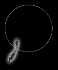 percepire il cerchio