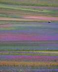 Il mio Castelluccio impressionista