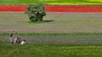 FOTOGRAFARE 2