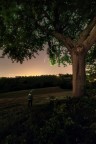 La mia piccola cometa