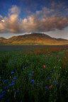 Castelluccio di Norcia e la sua piana sono per i miei occhi e la mia anima un eterno miraggio