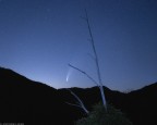 Cometa NEOWISE tra i cieli della Sila. 

Vi invito a leggere l'articolo ''Boschi in estate'' sul mio blog :) 

https://www.antonioaleo.it/post/boschi-in-estate