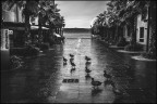 Lazise Lazise