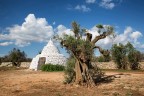 La Speranza di Ricrescita