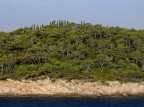 Pineta