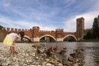 Verona