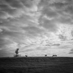 Woodham Mortimer, Maldon, Essex, September 2020 Woodham Mortimer, Maldon, Essex, September 2020