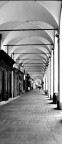 Curve e linee rette.