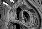 Curve della natura