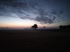 Alba magica...