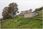 Malga Derocchetto