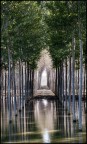 cattedrale naturale