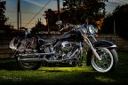 Fascino Harley