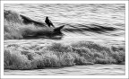 Surfreezed