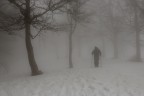 Nella-nebbia_DSC6582
