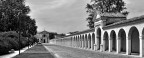Il ritorno