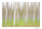 Arriva l'autunno in punta di piedi