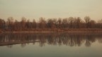 Stasera gli Alberi Piangono