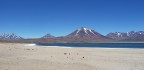 Laguna Miscanti