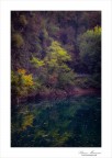 L'abbraccio dell'autunno