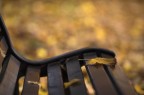 Composizione autunnale