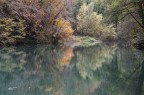 Il lago ed i suoi colori autunnali.1