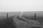 Road to Nowhere