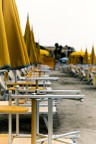 Summer’s almost gone…ma tornerà. Summer’s almost gone…ma tornerà.