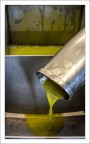 Oro verde