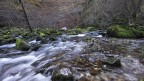 Dentro il torrente..