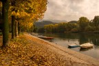 Brivio