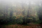 Autunno