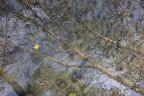 riflessi 2
