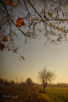 Interpretazione Autunno 2020