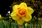 Prove tecniche di primavera