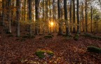 Autunno al tramonto