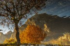 st