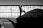 Climb on the roofs