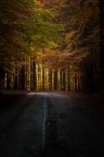 verso la luce