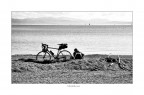 Monfalcone img.074