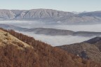 CampoStaffi_Nov2020