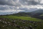 Artena_Dic2020
