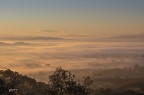 Nebbia all'alba in Pianura.2